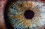 Cataract Detection