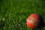 IPL Winner Prediction